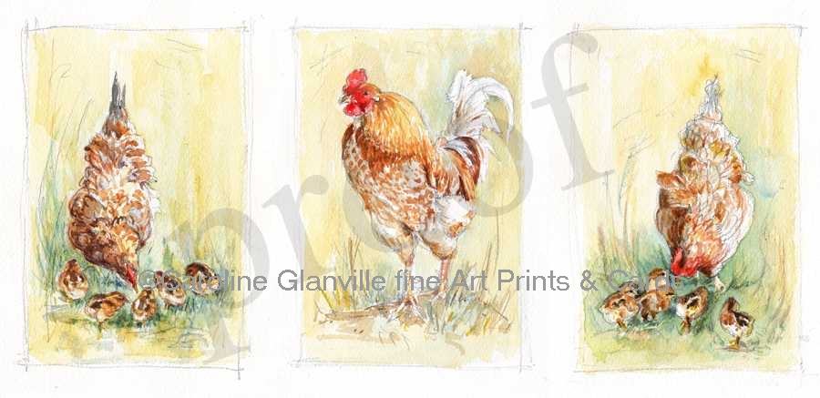 cockerel & hens, painting by Caroline Glanville